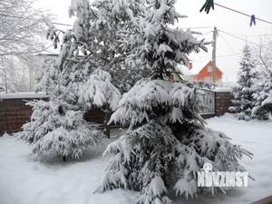 Коттедж 323м&sup2;, 3-этажный, участок 6 сот.  
