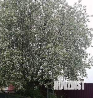 Дом 30м&sup2;, 1-этажный, участок 10 сот.  
