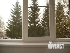 1-к квартира, посуточно, 31м2, 4/5 этаж
